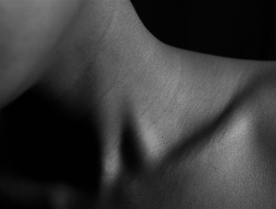 Women's collarbone 